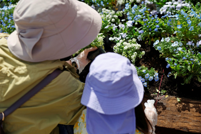 昨年好評！お客さまとお花を植える共同作品「みんなでつくる花壇」