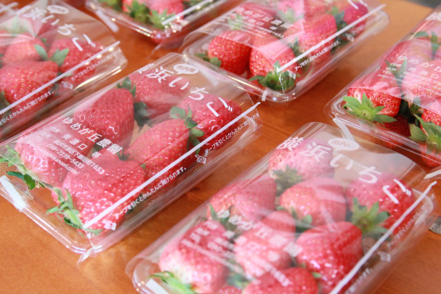 Yokohama Strawberry Festival 2023