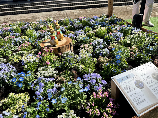 FLOWER GARDEN 2024
