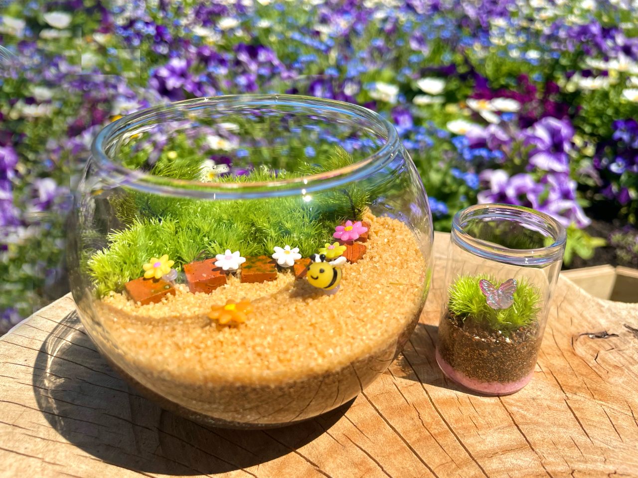 新生活に苔テラリウムを！