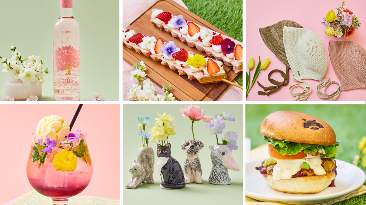 色とりどりのお花と一緒に横浜赤レンガ倉庫で春を楽しもう！