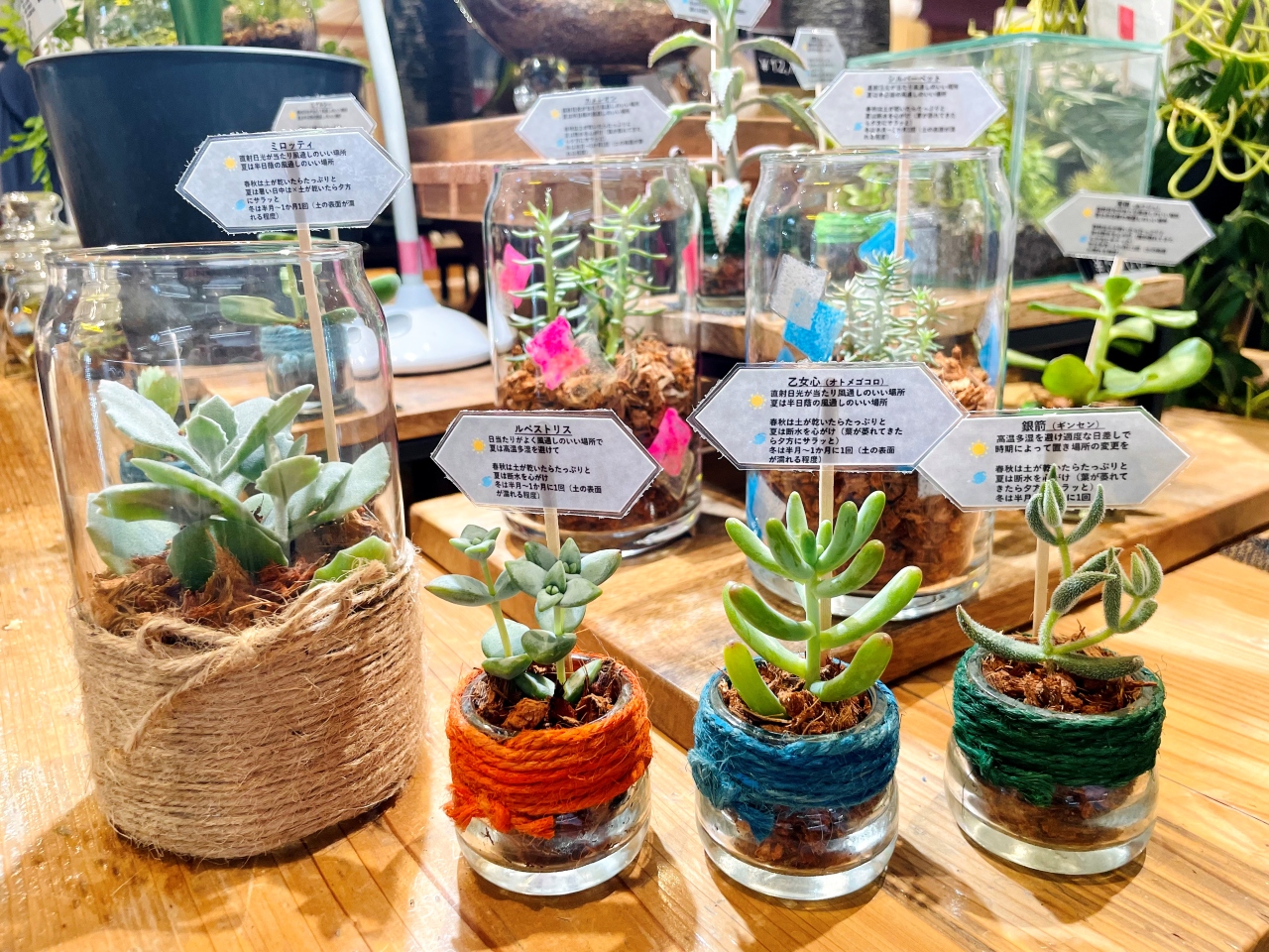 新商品発売のお知らせ！