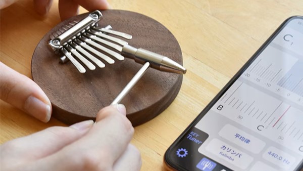 WORKSHOP KIT Kalimba