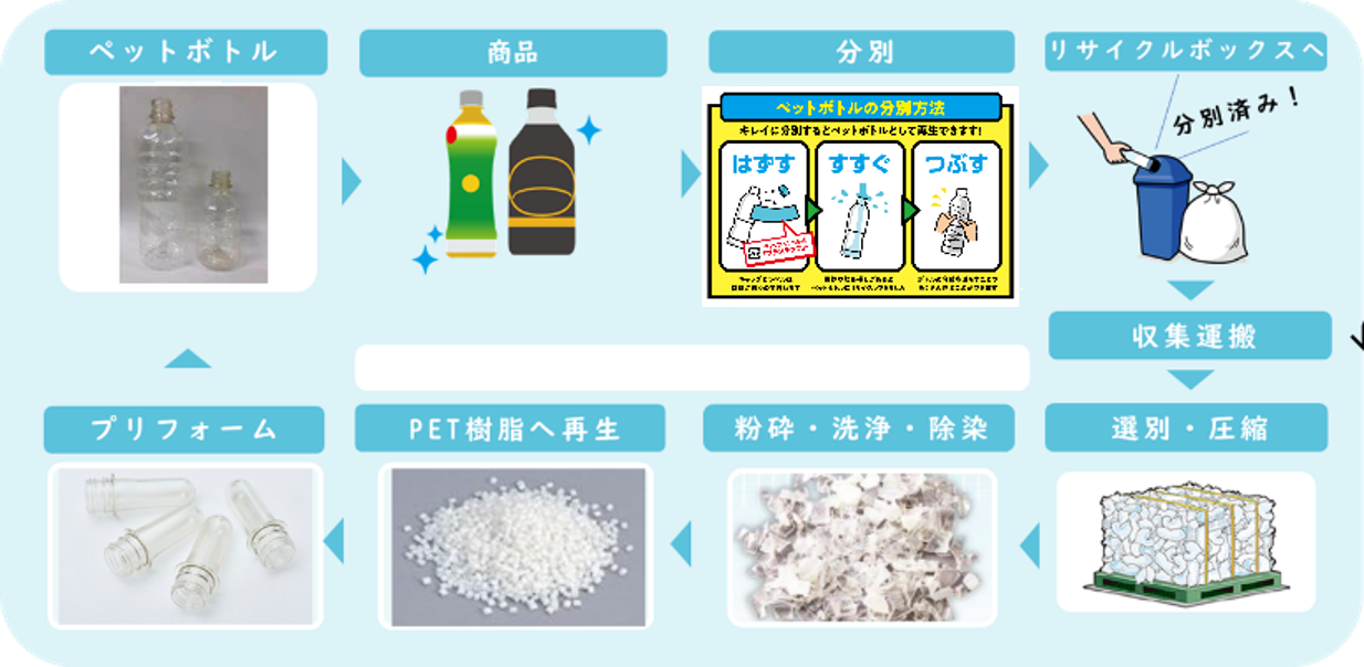 2025年から「ボトルtoボトル」水平リサイクルの取組に参画