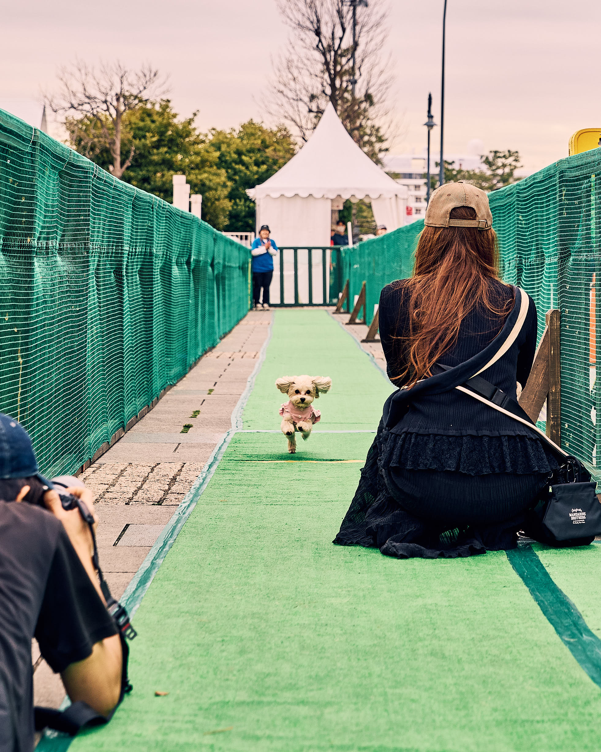 愛犬の本気の走りを楽しもう！「ドッグタイムレース」が、MARINE & WALK YOKOHAMAエリアに登場！