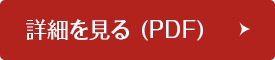 詳細を見る (PDF)